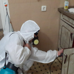 Дезинфекция от муравьев в квартире Улица Сергея Эйзенштейна метро Москвы