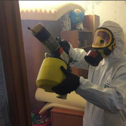 Уничтожение клопов в квартире. Улица Сергея Эйзенштейна